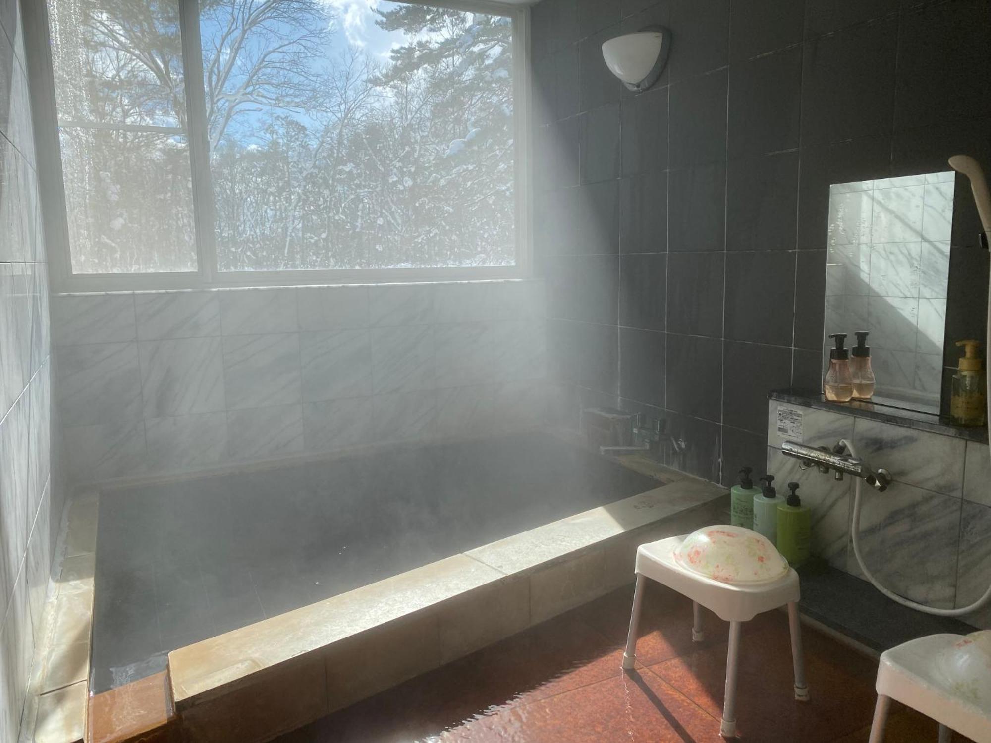 Natural Hot Spring Hakuba Symphony Dış mekan fotoğraf